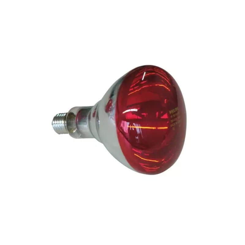 Lampada Philips per riscaldamento, bianco-rossa 150 watt, (HG) (10 pz.)