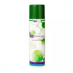 Intra-Repiderma-Spray 250 ml