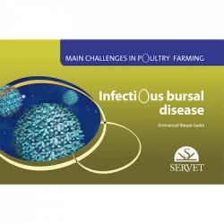 Main challenges in poultry farming Infectious bursal disease
