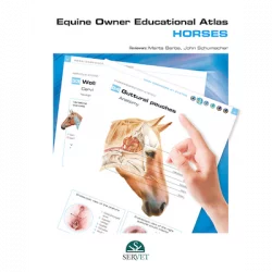 Equine Owner Educational Atlas Horses