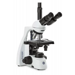 Microscopio trinoculare Euromex bScope